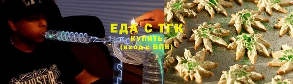 шишки Осташков