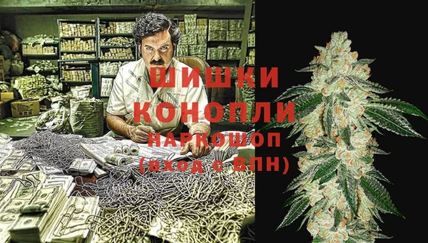 дживик Краснослободск