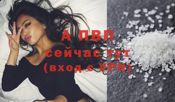 дживик Краснослободск