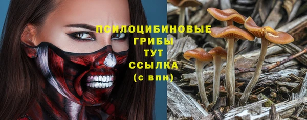 скорость Краснотурьинск