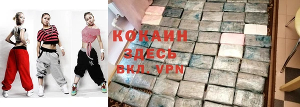 дживик Краснослободск