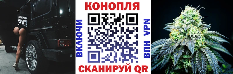 Конопля OG Kush Кремёнки